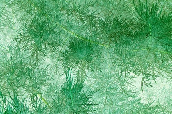 T 012